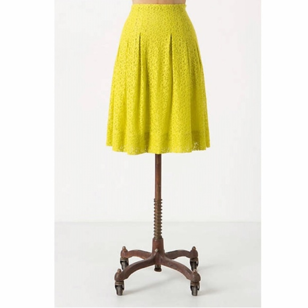 Anthropologie Citron Lace Skirt HD in Paris
